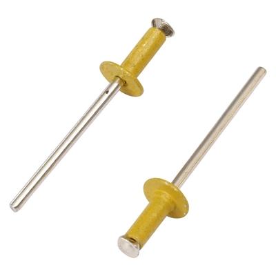 Stainless Steel Material Head Blind Rivet with Powder Coating OEM CNC Hardware Parts