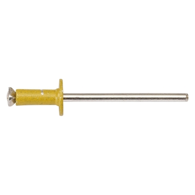 Stainless Steel Material Head Blind Rivet with Powder Coating OEM CNC Hardware Parts