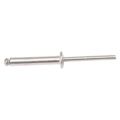 Stainless Steel Material Head Blind Rivet with Powder Coating OEM CNC Hardware Parts