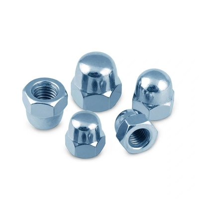 Stainless Steel Hex Cap Nut Hardware for OEM CNC Parts Excellent Performance